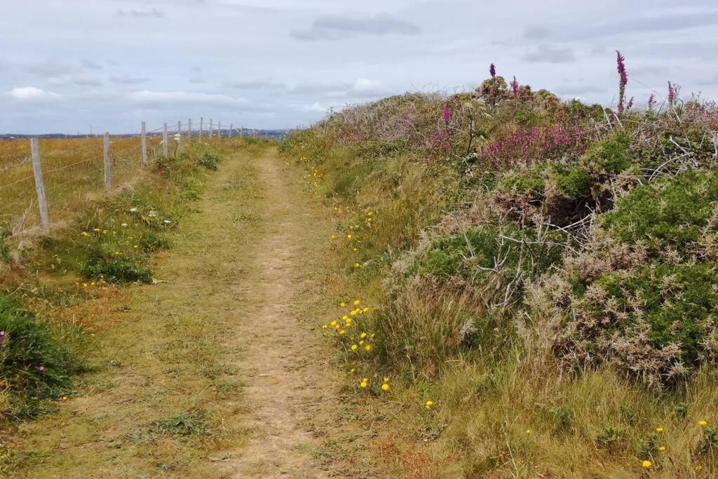 Farm Accommodation - The Lizard Peninsula, Cornwall เฮลสตัน ภายนอก รูปภาพ