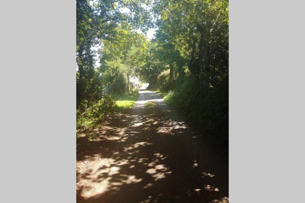Farm Accommodation - The Lizard Peninsula, Cornwall เฮลสตัน ภายนอก รูปภาพ