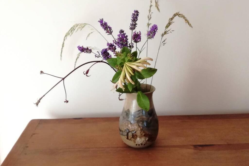 Farm Accommodation - The Lizard Peninsula, Cornwall เฮลสตัน ภายนอก รูปภาพ