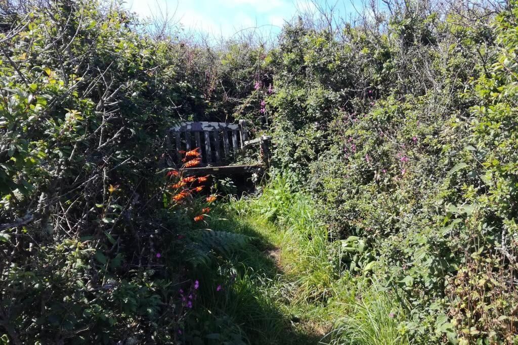 Farm Accommodation - The Lizard Peninsula, Cornwall เฮลสตัน ภายนอก รูปภาพ