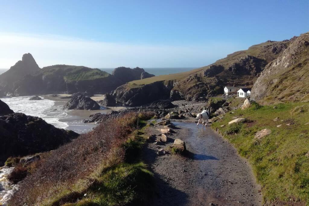 Farm Accommodation - The Lizard Peninsula, Cornwall เฮลสตัน ภายนอก รูปภาพ