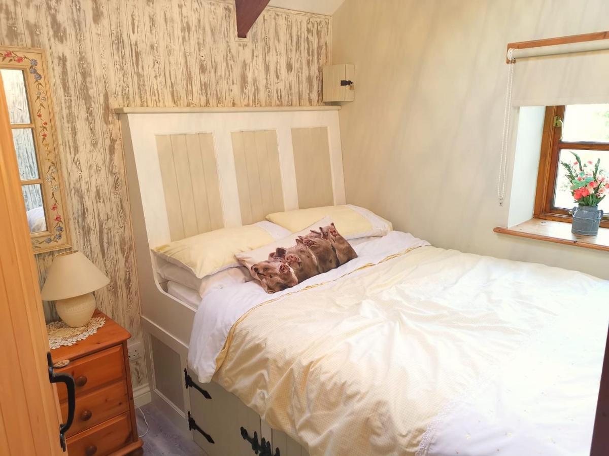 Farm Accommodation - The Lizard Peninsula, Cornwall เฮลสตัน ภายนอก รูปภาพ