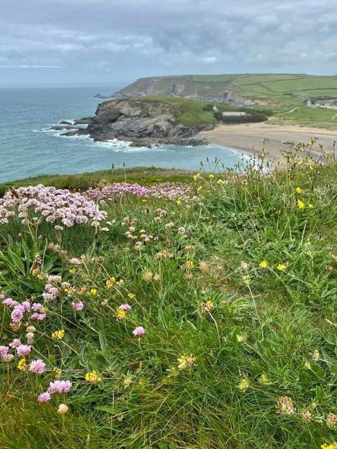 Farm Accommodation - The Lizard Peninsula, Cornwall เฮลสตัน ภายนอก รูปภาพ