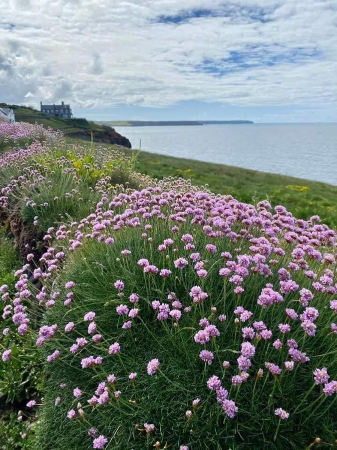 Farm Accommodation - The Lizard Peninsula, Cornwall เฮลสตัน ภายนอก รูปภาพ