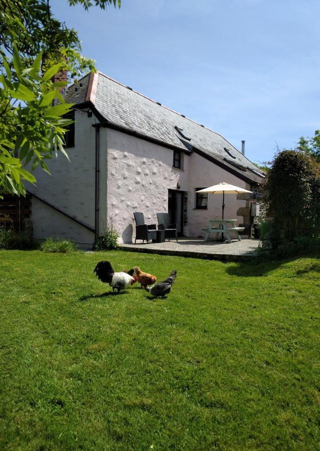 Farm Accommodation - The Lizard Peninsula, Cornwall เฮลสตัน ภายนอก รูปภาพ